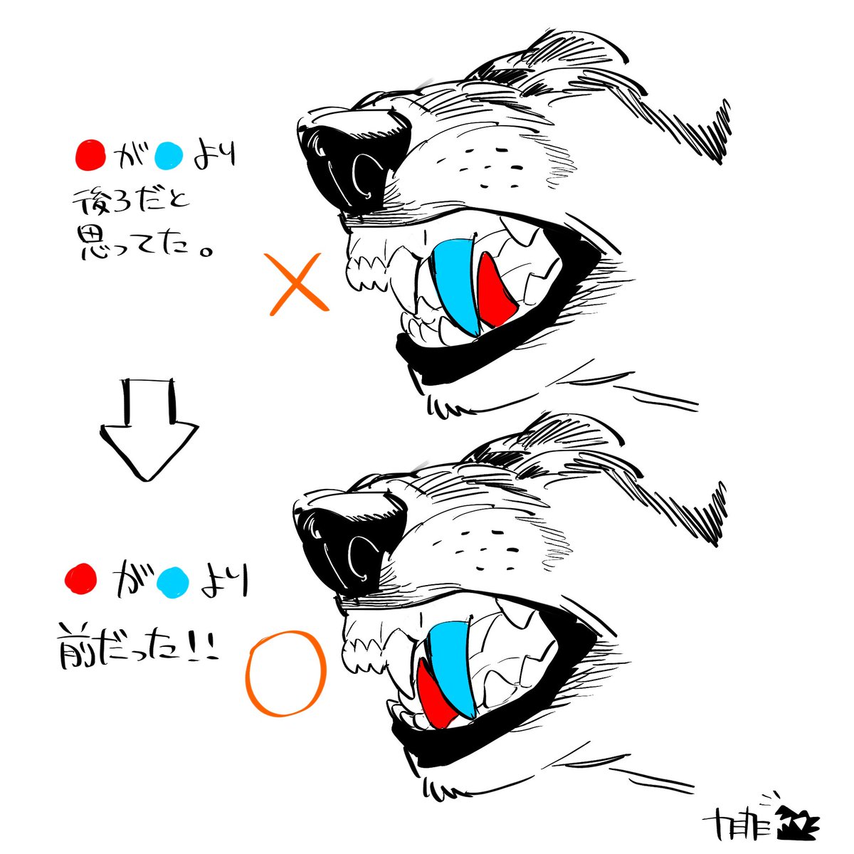 🐺マズルのメモです📝 
