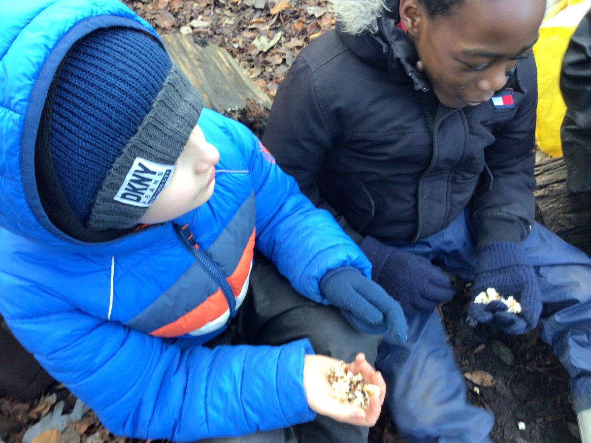 MoorlandPrm's tweet image. It was a cold one this morning 🥶 Despite this, Alder Class Forest Schoolers demonstrated lots of resilience by getting their fire going (to make popcorn) and made some winter ice art!!! They’ll be displaying their sculptures tomorrow… watch this space!!! #buildingcharacter