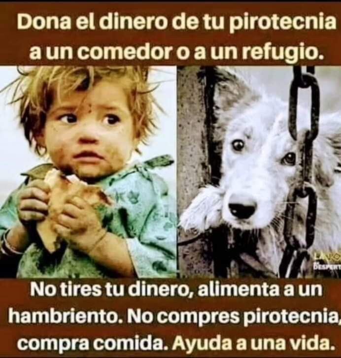 guatexanimales2's tweet photo. https://t.co/Qts5rIhnqC