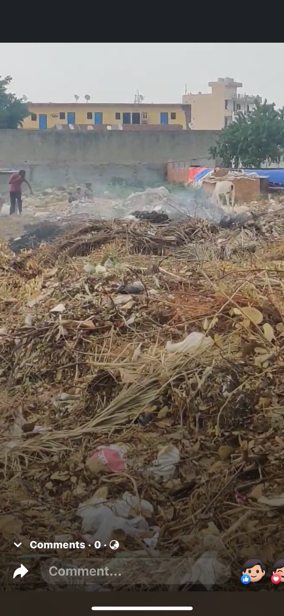 SethiRuchikaT's tweet photo. @cleanAirBharat @CAQM_Official @CPCB_OFFICIAL @MunCorpGurugram @pcmeenaIAS @DC_Gurugram @pcmeenaIAS ji
@MunCorpGurugram 
@DC_Gurugram 

Horticulture waste collected by private contractors fm diff parts of the city-dumped and regularly burnt in open .This is also our #healthburden . 

The situation begs of urgent intervention-implement horticulture waste policy. 🙏 https://t.co/ZKJJSyal6j