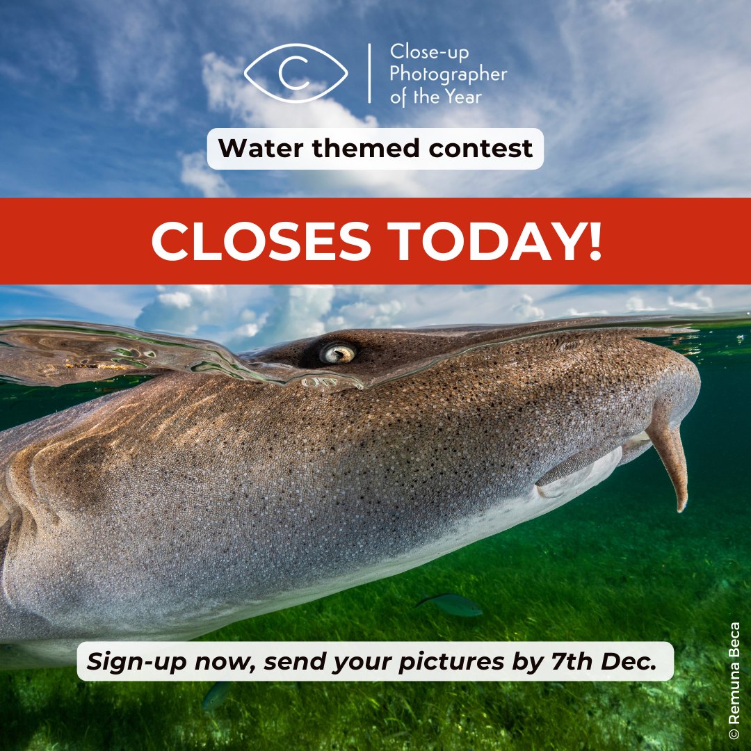 FINAL CALL FOR ENTRIES – Take 2 mins to sign-up now and get another 7 days to send in your photos. Submit your best close-up, macro or micro photos on a WATER theme at cupoty.com. Win a cash prize and get featured in @AP_Magazine. Closes 30 Nov. x @affinitybyserif