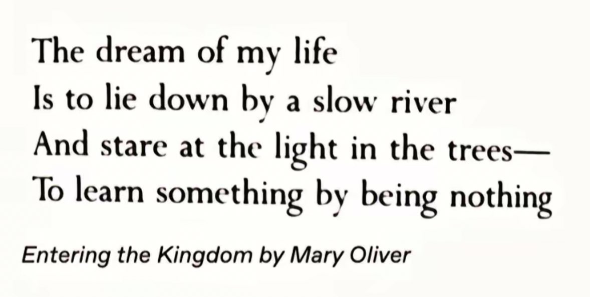 🦋 ana cecilia (@anacecygarciap) on Twitter photo 