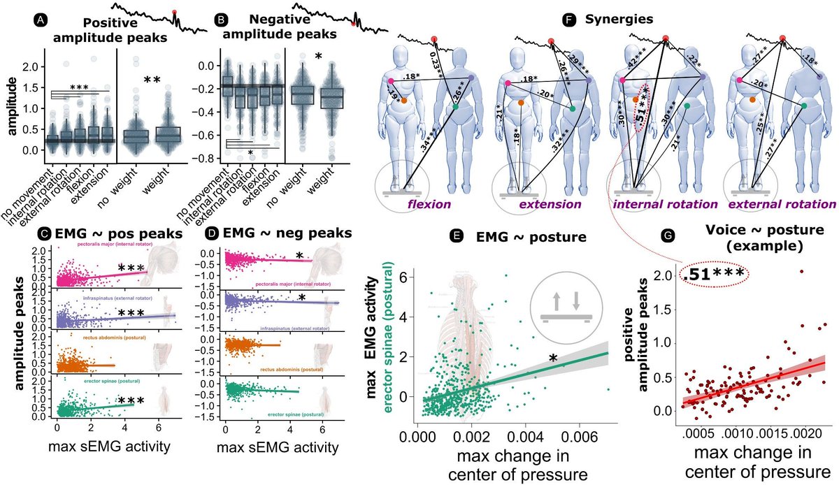 New work (preprint) with Wim Pouw, @LaraBurchardt, and Luc Selen on vocalization and biomechanical interactions with the whole body: 'The human voice aligns with whole-body kinetics' 🗣️🙋‍♀️🙅‍♀️🙆‍♀️ preprint: doi.org/10.1101/2023.1… RMarkdown: wimpouw.github.io/kineticsvoice/