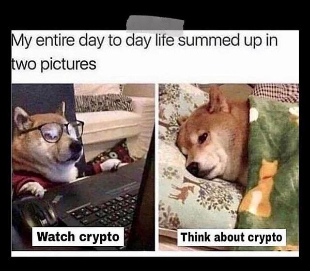 OneManArmy tweet media