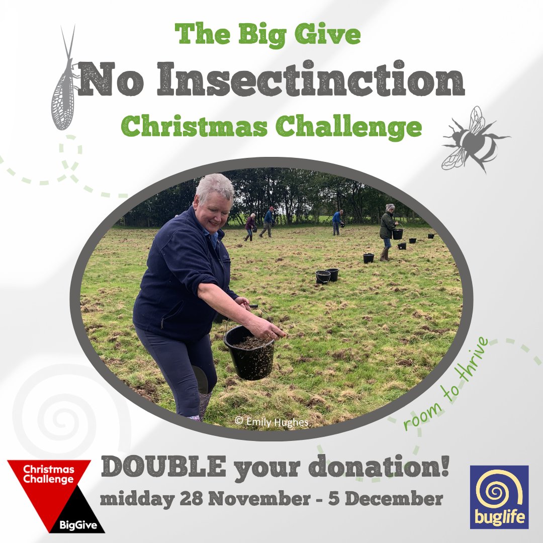 #ThankYou! So far we've raised more than 25% of our target! 
👇donate.biggive.org/campaign/a0569…

🐝We want to ensure insects, &amp; all other invertebrates, have room to thrive; making space for wildlife &amp; reconnecting the wild parts of our landscapes.

👣Small steps can have a huge impact!