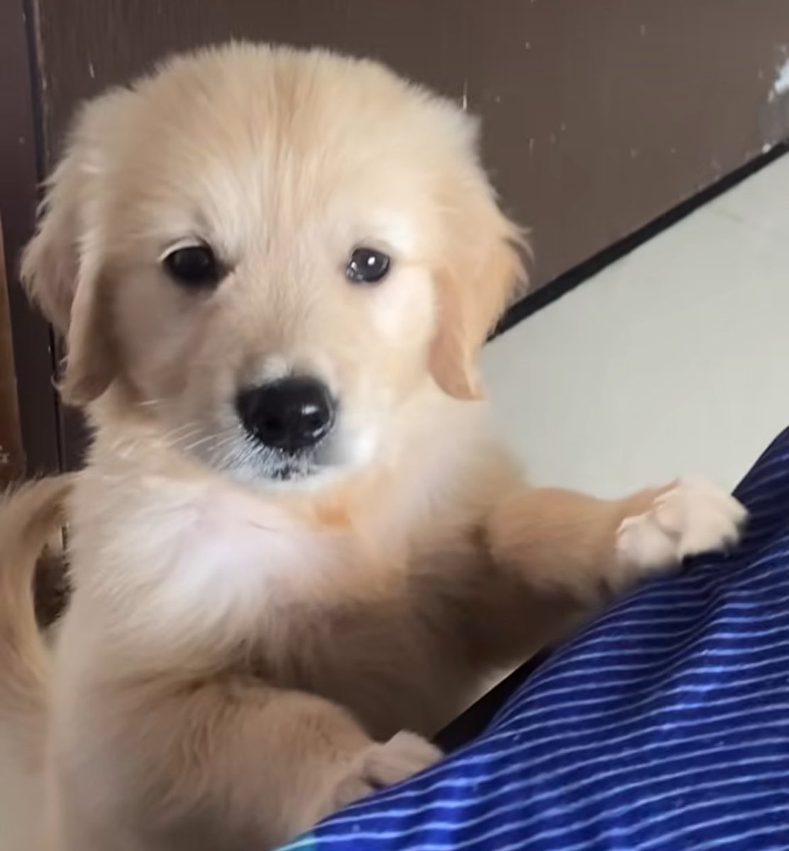 tonnyhahaha's tweet image. แม่ ไหนหนม