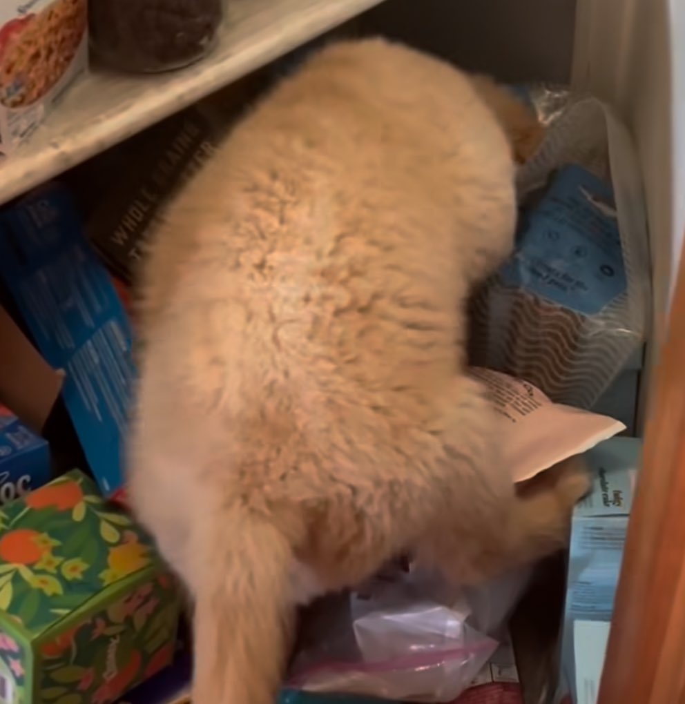 tonnyhahaha's tweet image. แม่ ไหนหนม