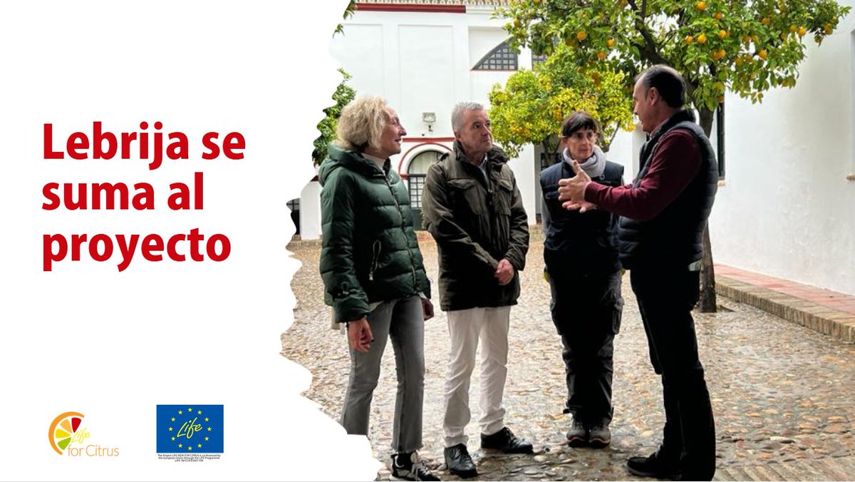 🌿🍊 El Ayuntamiento de Lebrija se une al proyecto LIFE Vida for Citrus junto al Ayuntamiento de Sevilla. Su objetivo: combatir la enfermedad HLB en cítricos, mejorando prácticas sostenibles y formando al personal en diagnóstico precoz. 
lifevidaforcitrus.eu/2023/11/30/el-…