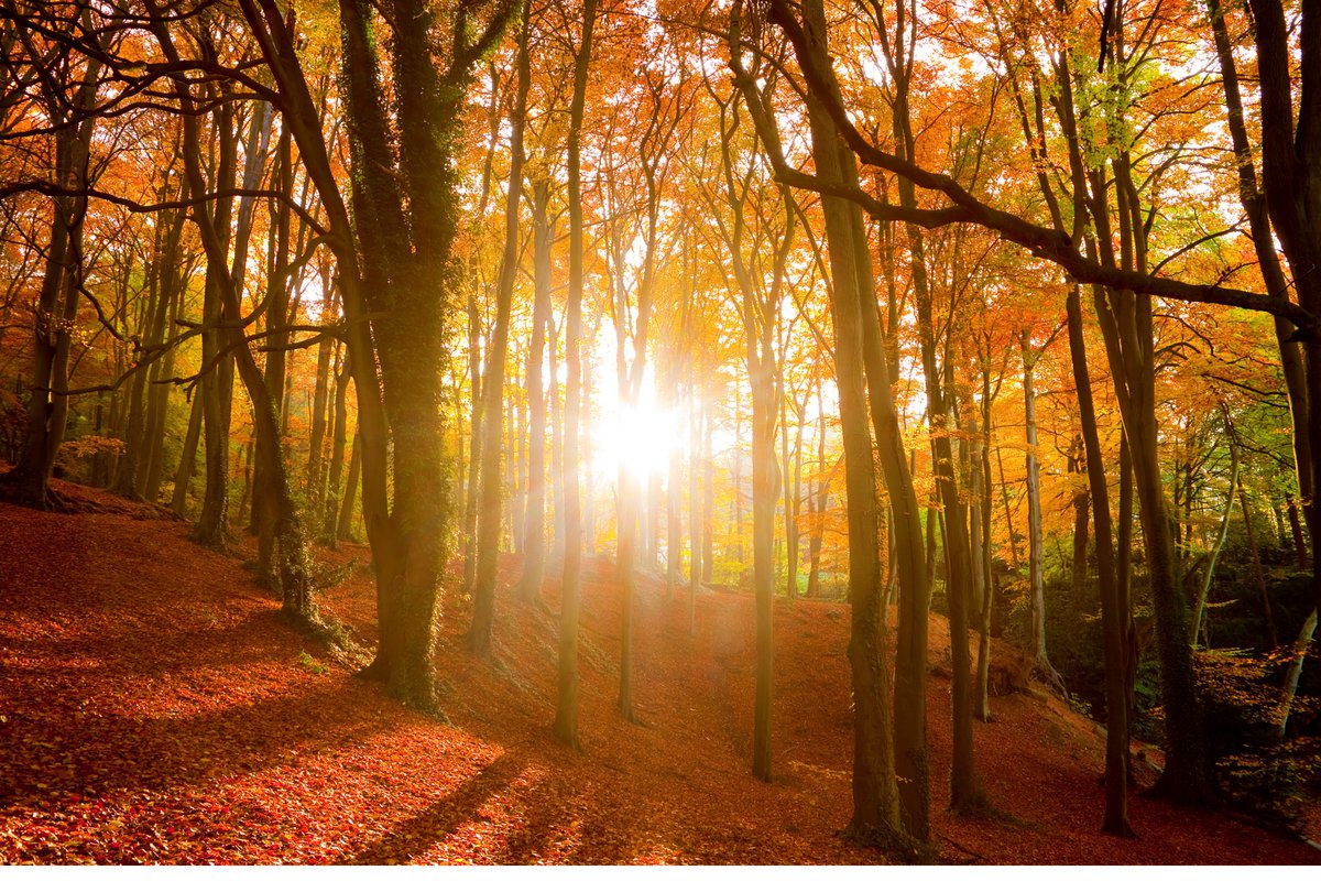 omaigapower's tweet image. Step into a world where beauty meets innovation with OMAIGA! 🌿💫 Our products aren&apos;t just smart; they&apos;re a statement of elegance. Swipe left to witness the fusion of style and intelligence. 🏡✨ #OMAIGABeautyTech #SmartLivingRedefined