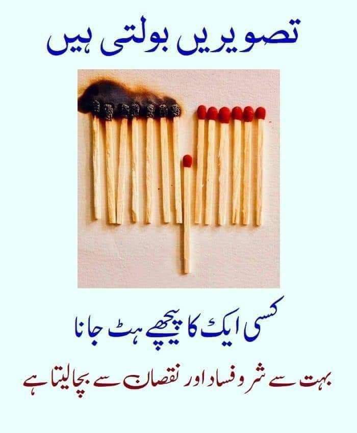 اگر آپ کے ایک قدم پیچھے ہٹنے سے آگ بجھ سکتی ہے تو 
پیچھے ہٹ جانا چاہیے...!!🌹♥️🌹
#AmanatTrust <a href="/AmanatTrust/">Amanat Trust</a>