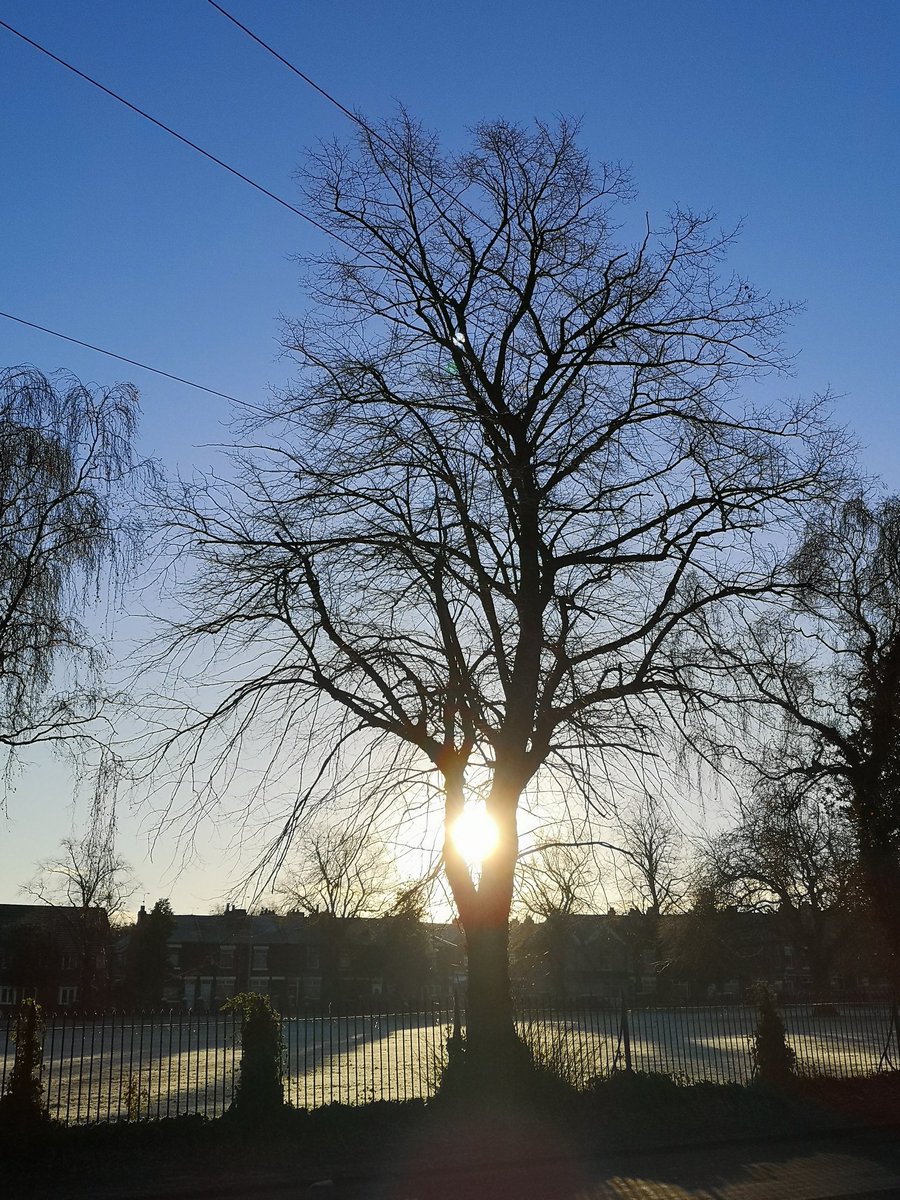 Petrolheadsarah's tweet photo. Good morning from a very 🌞 bright frosty Crewe! Depending which weather app I look at it is between -1°c & 0°c. Brr!
Wishing you all a lovely Thursday however you spend it. Be kind to each other.. 📷 @petrolheadsarah #frostythursday #brightsun #bluesky #mrbluesky ❄️🌞🥶 https://t.co/kU53JsTh1v