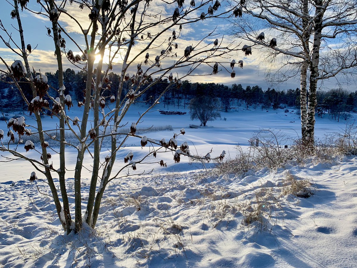 MH_Sipponen's tweet photo. Winter has come to Stockholm!🤩 https://t.co/XhDxxHqtM2