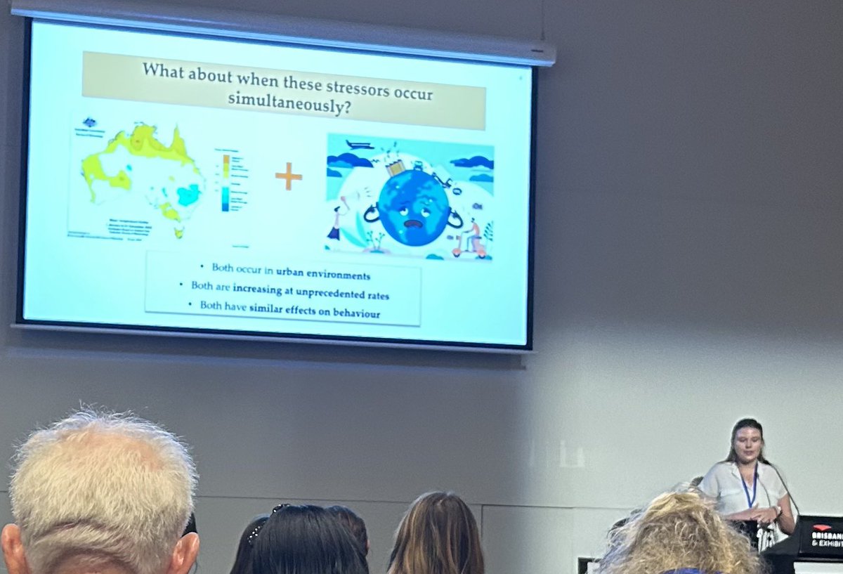 Had the pleasure of presenting on the importance of considering how multiple #anthropogenic stressors affect birds at #AOC2023 🦅🦆🦜🦉Can’t wait for AOC2025 in Perth! @AOC2023BRISBANE