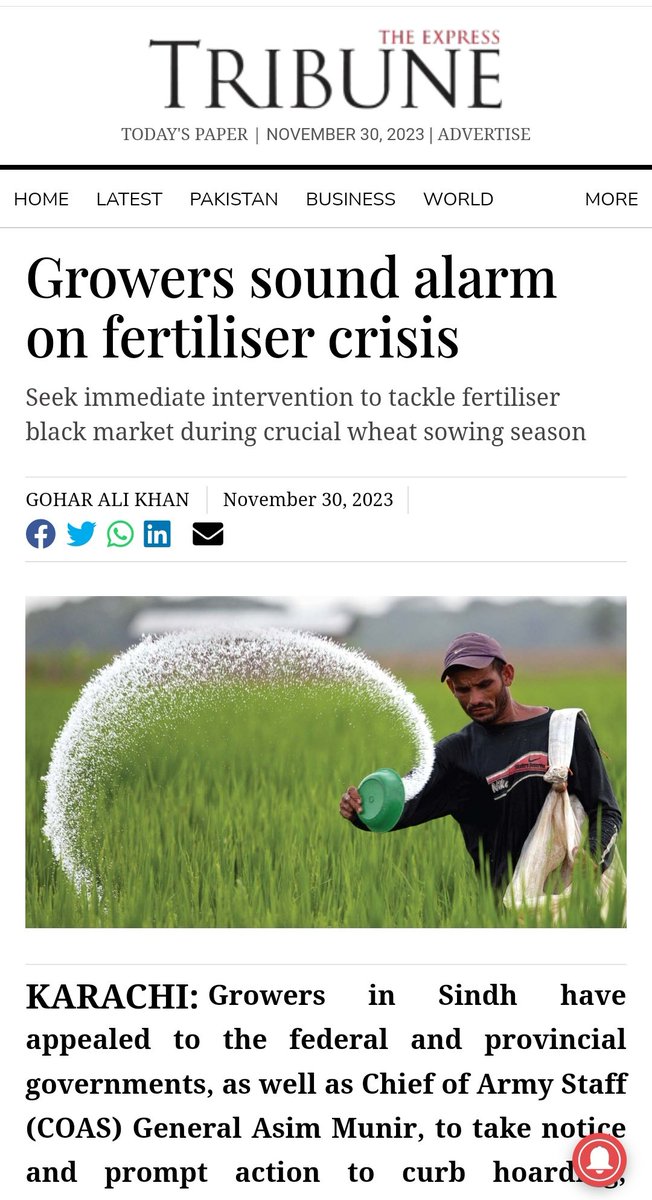 Ali Palh Advocate tweet media