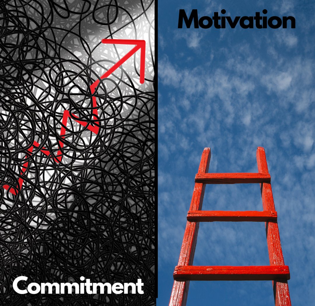 Quintessential Performance tweet media