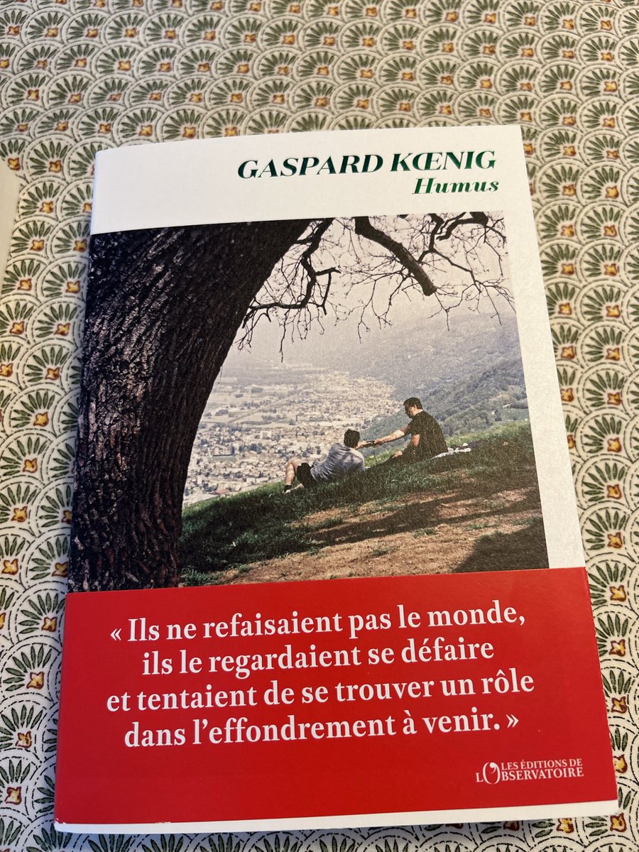 Grosse claque littéraire et réflexion sur notre société : écologie, capitalisme, éducation, ascenseur social, représentation politique… un grand livre qui aurait mérité le #Goncourt 👏
