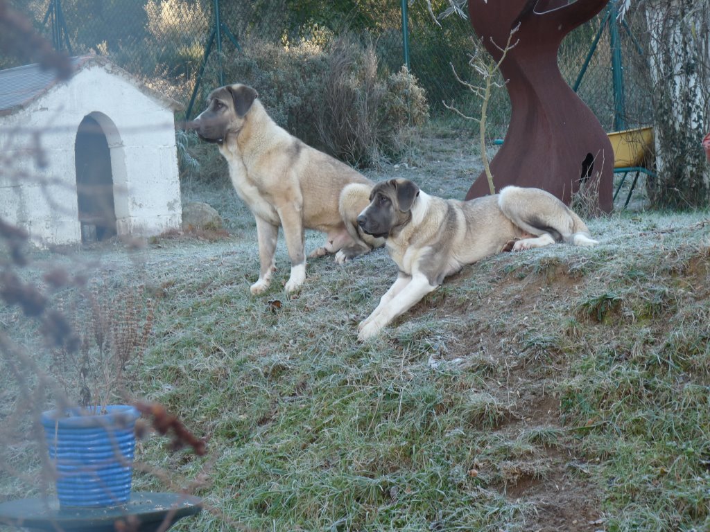 Geoff Jordan tweet media