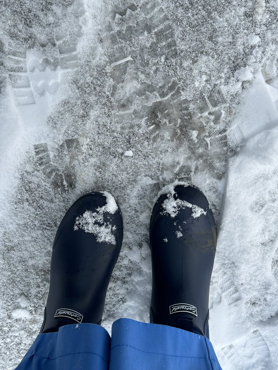 I’m putting my donated wellies from <a href="/HospitalFriends/">Richardson Friends</a> to good use today! Bit cold and blustery in teesdale! #communitynurse #districtnursing <a href="/sanrgn/">sandra smyth RN DN QN 💙</a>