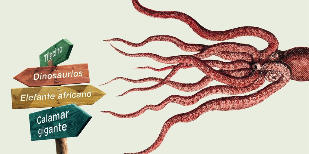 mncn_csic's tweet photo. 🐋Animales de 10 metros de longitud, de 6 toneladas de peso o tan largos como un camión...🧐 ¿Cómo se adaptan? ¿Cómo sobreviven? Os contaremos todo esto y mucho más en la #RutaSingular 'Tras las huellas de gigantes'
👉30 enero,19 h/ 12€
+ info y entradas: https://t.co/zHinRNf2Ze https://t.co/1H02iYHrfb