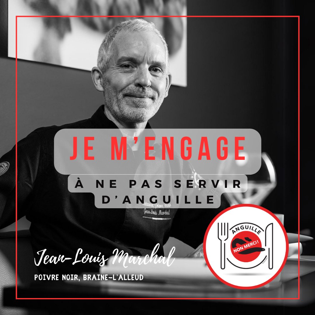 Ethic Ocean (@ethic_ocean) on Twitter photo ESPÈCE EN DANGER CRITIQUE D'EXTINCTION
#PoivreNoir #JeanLouisMarchal #Eurotoquesbelgique
#AnguilleNonMerci #chefengagé #biodiversité #anguille #cuisineresponsable #préservonslesressources
<a href="/GrandOcean/">Grand Océan</a> <a href="/ORoellinger/">Olivier Roellinger</a> <a href="/RelaisChateaux/">Relais & Châteaux</a> ESPÈCE EN DANGER CRITIQUE D'EXTINCTION
#PoivreNoir #JeanLouisMarchal #Eurotoquesbelgique
#AnguilleNonMerci #chefengagé #biodiversité #anguille #cuisineresponsable #préservonslesressources
<a href="/GrandOcean/">Grand Océan</a> <a href="/ORoellinger/">Olivier Roellinger</a> <a href="/RelaisChateaux/">Relais & Châteaux</a>