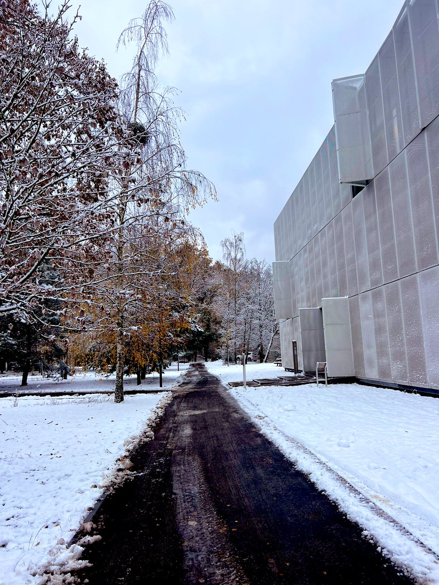 Faezehrahimimd1's tweet photo. Starting a lovely working day in the  @BUFF_MRI white building hidden under snow ❄️ with some little signs of autumn 🍂 https://t.co/Sc8gHejaw2