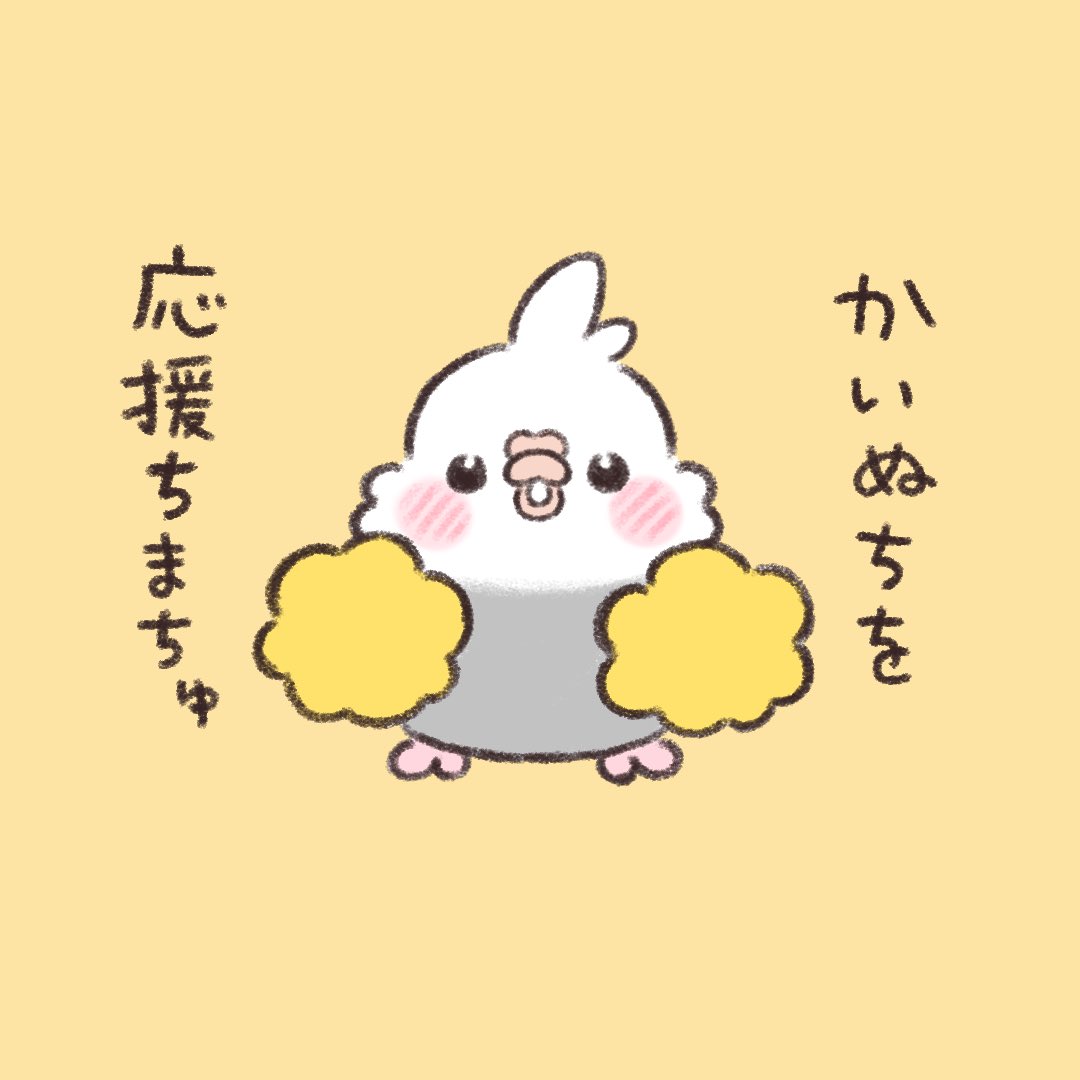 応援でちゅ。  #オカメインコ