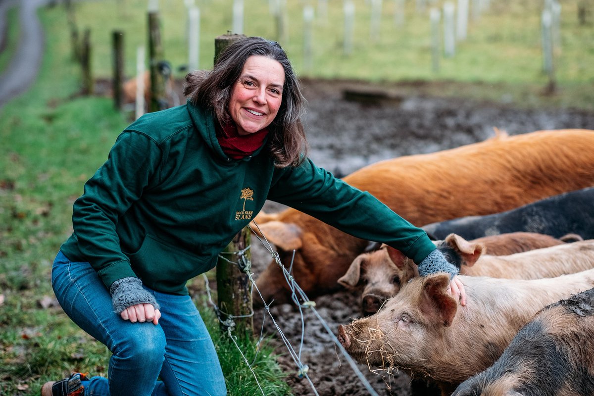 Ireland Guide tweet media