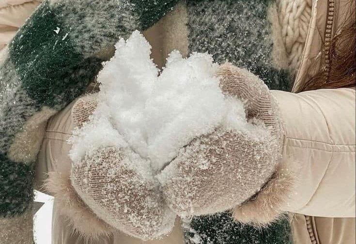 snow-covered morning ❄️