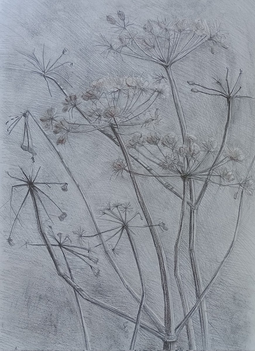 Jessica Rose tweet media