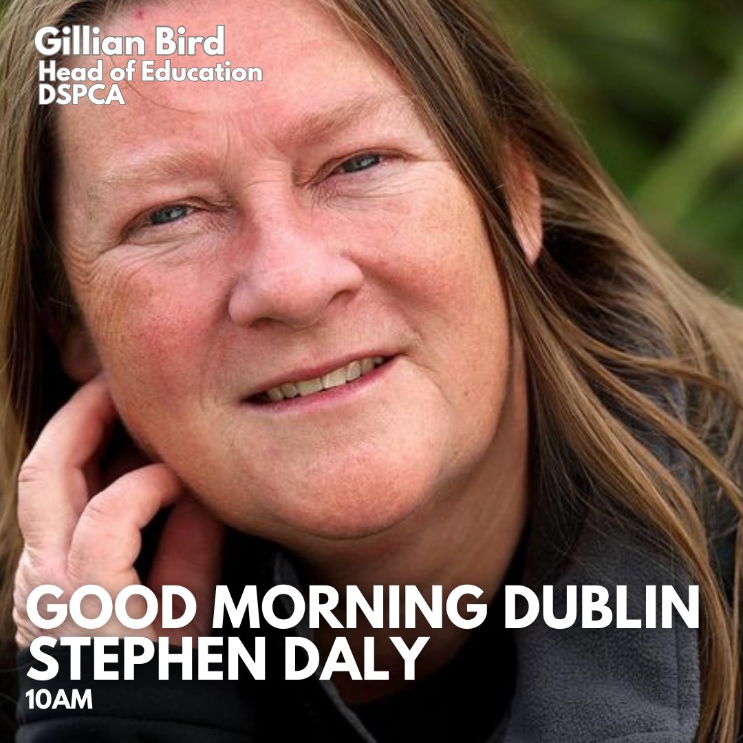 dublincityfm's tweet photo. Today on #GoodMorningDublin with @StephenDalyShow @irishplaywright tells Jack all about his new role And Muraed speaks to @RightAtHomeTC
Plus! Florence talks to Gillian Bird from the @dspcashelter Tune in from 10am!
#irishplay #awardshow #adoptingdogs #dspcshelter https://t.co/7xxmF2Hpyf