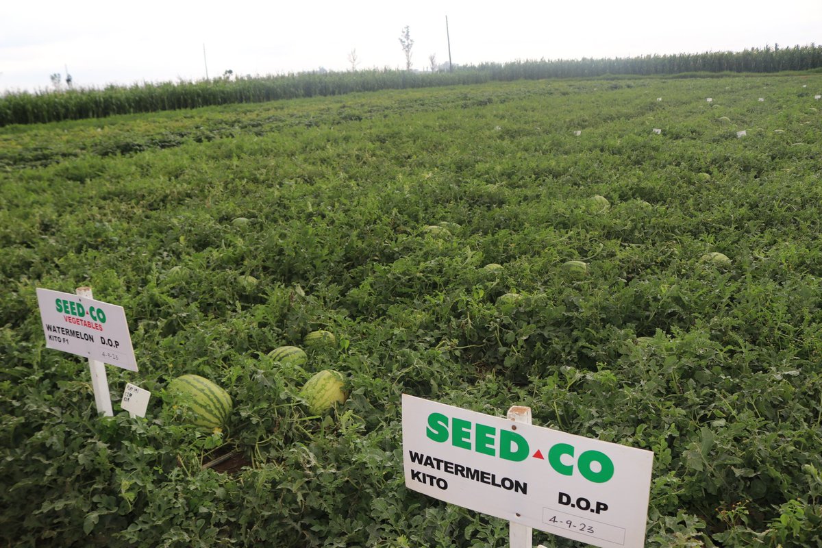 Agribusiness Media tweet media