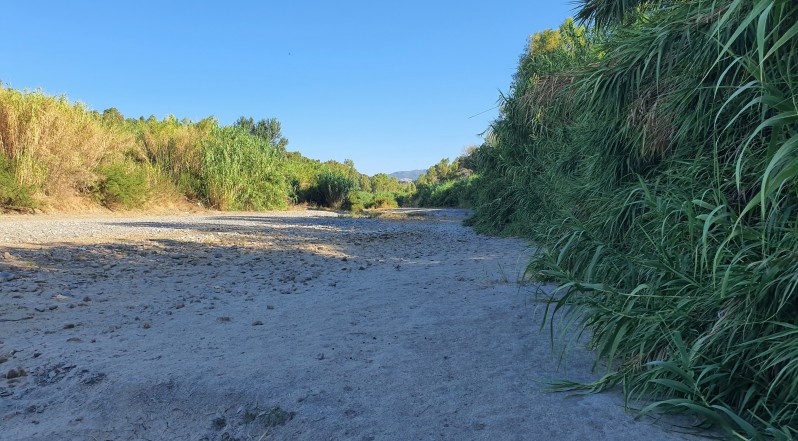 Andrés Actis tweet media