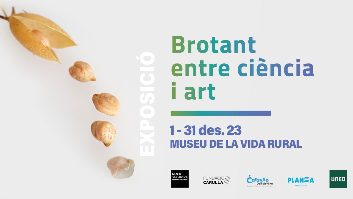 🌱@MuseuVidaRural acoge desde mañana la muestra 'Brotando entre ciencia y arte', en el marco del proyecto de Raquel Ajates de la #DanielCarassoFellowship, que refleja el potencial de las semillas para una alimentación sana y sostenible.

📆Hasta 31 DIC
⇨ bit.ly/BrotandoCienci…