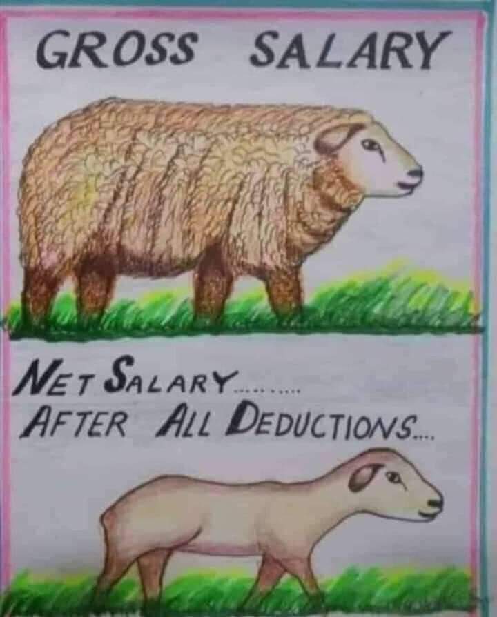 chakma khitan (@chakma_khitan) on Twitter photo 