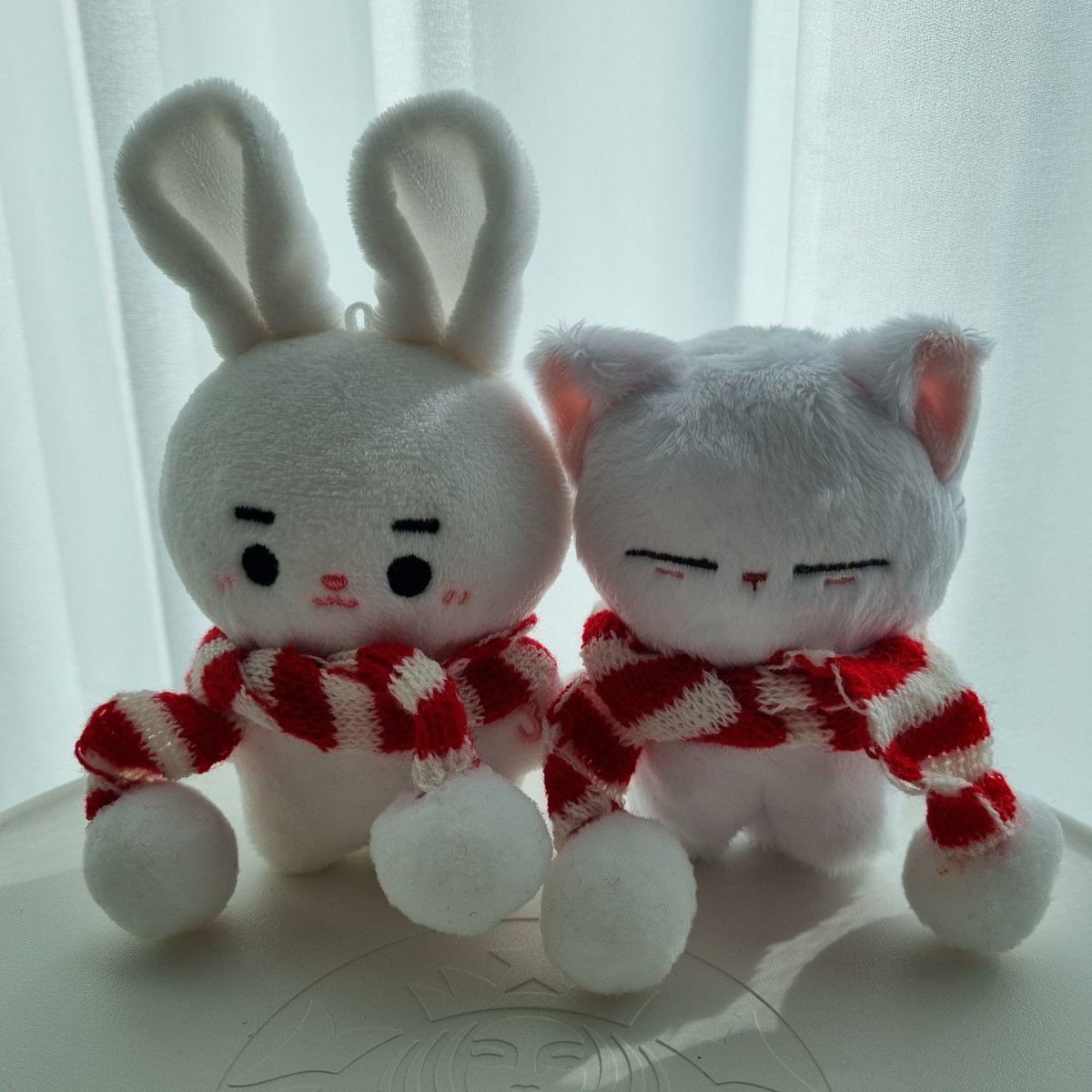 sc931206's tweet photo. 🐰🐱 https://t.co/a84oQKrjY0