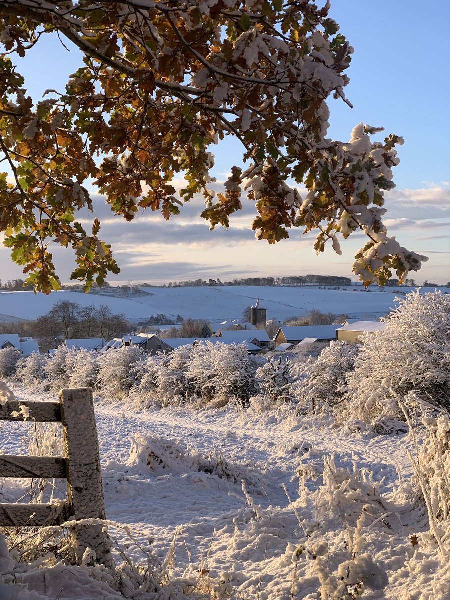 Snowy up north!