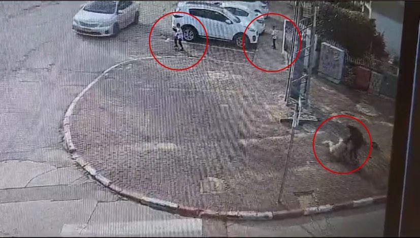 اذا كبر الطفلين وقامو بحرق تل ابيب لا يجب ان يلومهم العالم