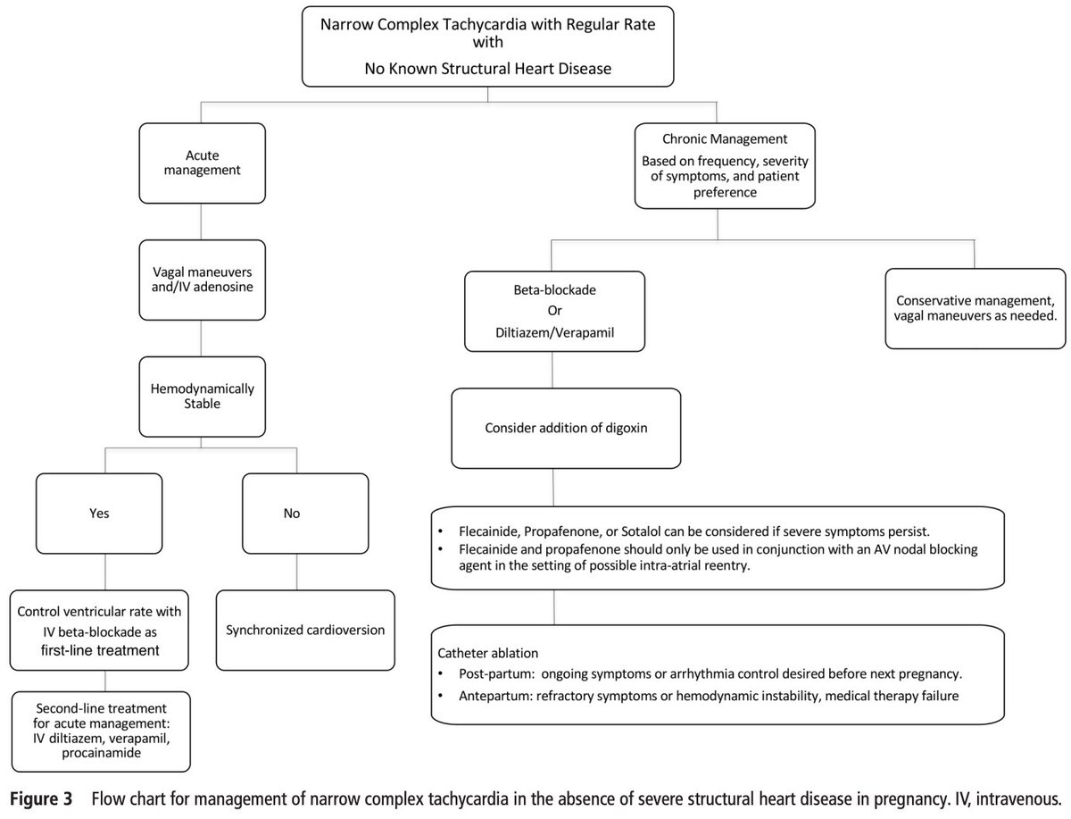 SeguraCardio's tweet photo. 📌Management of #arrhythmias during #pregnancy
#CardioTwitter #CardioEd #CardioObstetrics #CardioObs https://t.co/eLSxaKYPRN