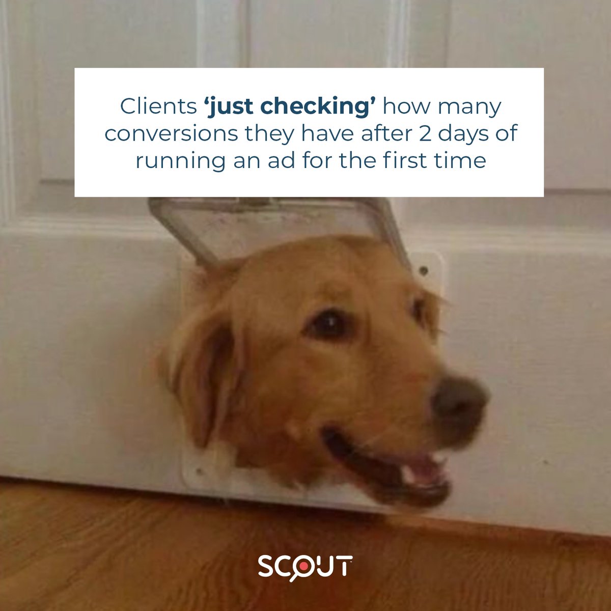 ScoutCloud1's tweet photo. ..."I hope this email finds you well!"

#influencermarketing #digitalmarketing #marketingagency #scoutcloud https://t.co/RL7wkOPd9L