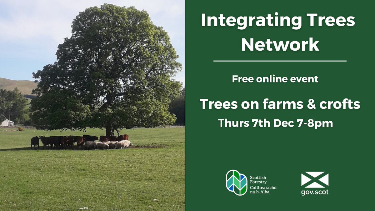 scotforestry's tweet image. Free Integrating Trees Network event with new hosts! 

An opportunity to hear first-hand about planting trees on #farms and #crofts, giving an insight into the practical aspects as well as the benefits. 

Booking➡️eventbrite.com/e/trees-on-far…