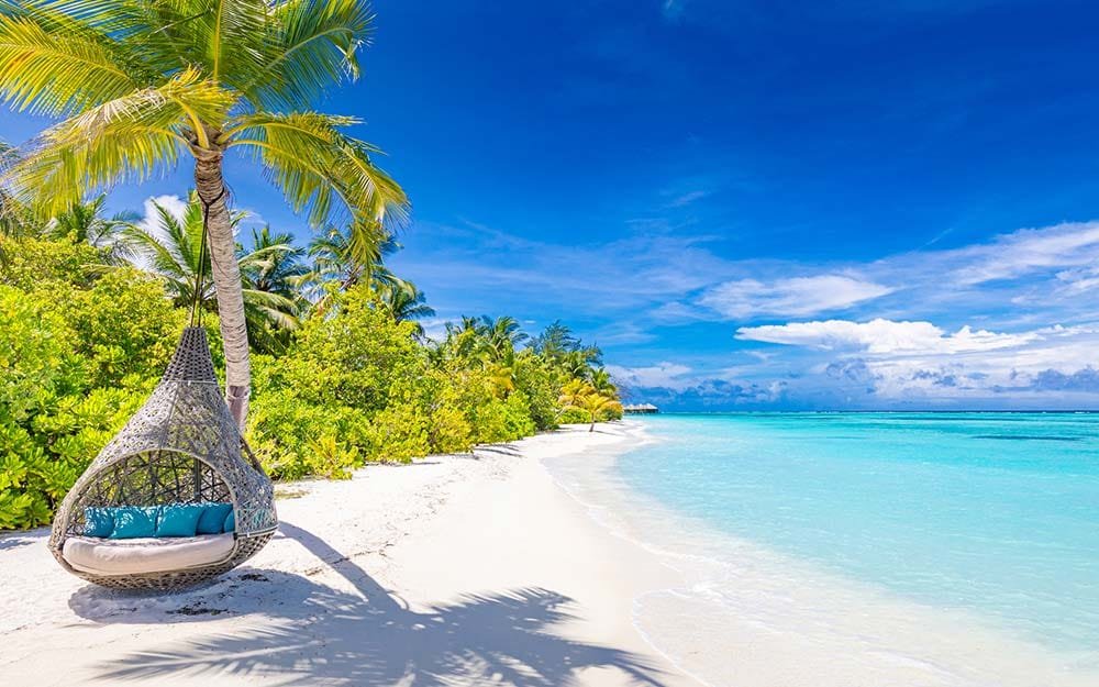 NasreenDelta's tweet photo. Maldives is the greatest holiday destination on Earth..... #Maldives #holidays https://t.co/gjLFrwL98Y