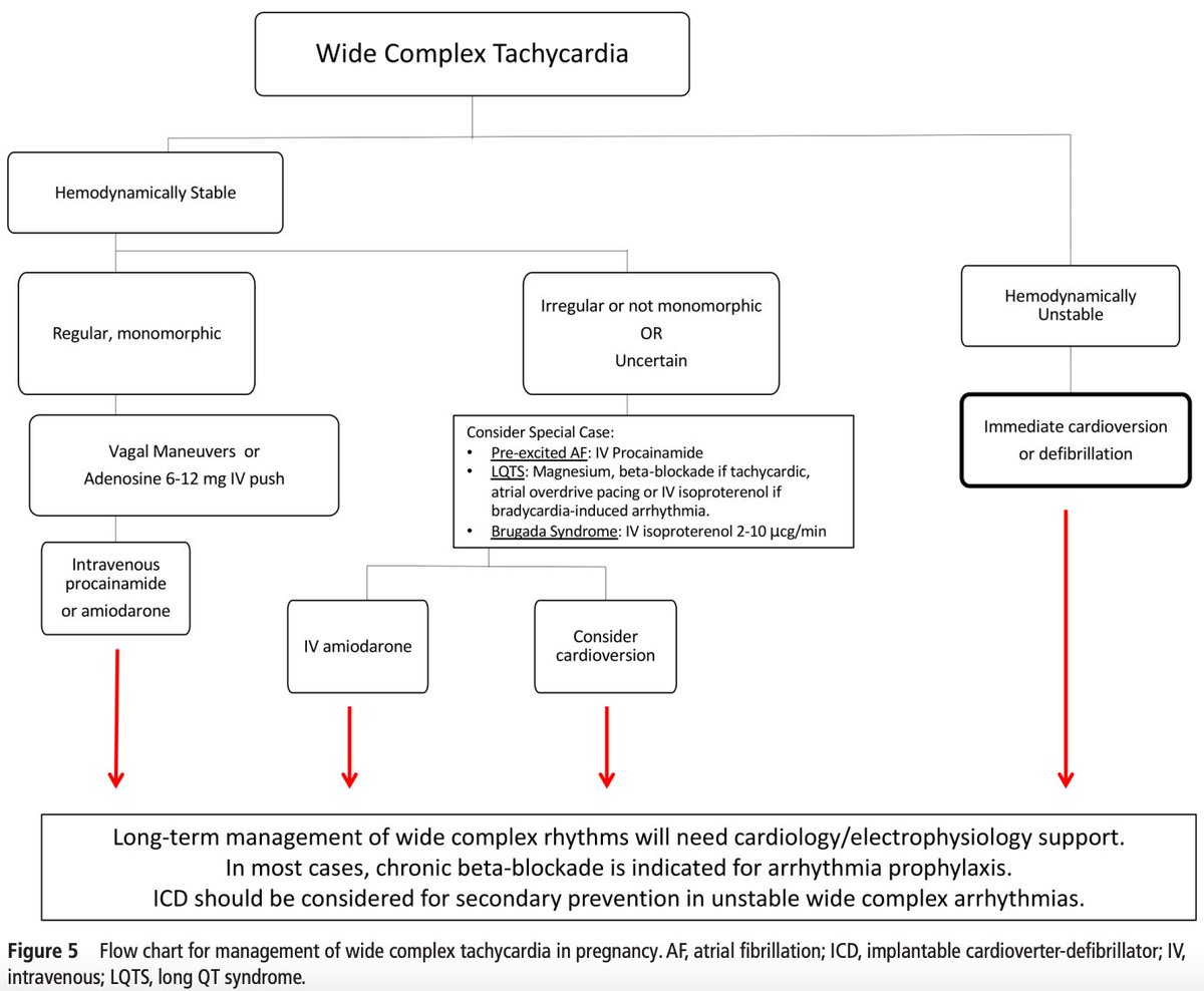 SeguraCardio's tweet photo. 📌Management of #arrhythmias during #pregnancy
#CardioTwitter #CardioEd #CardioObstetrics #CardioObs https://t.co/eLSxaKYPRN