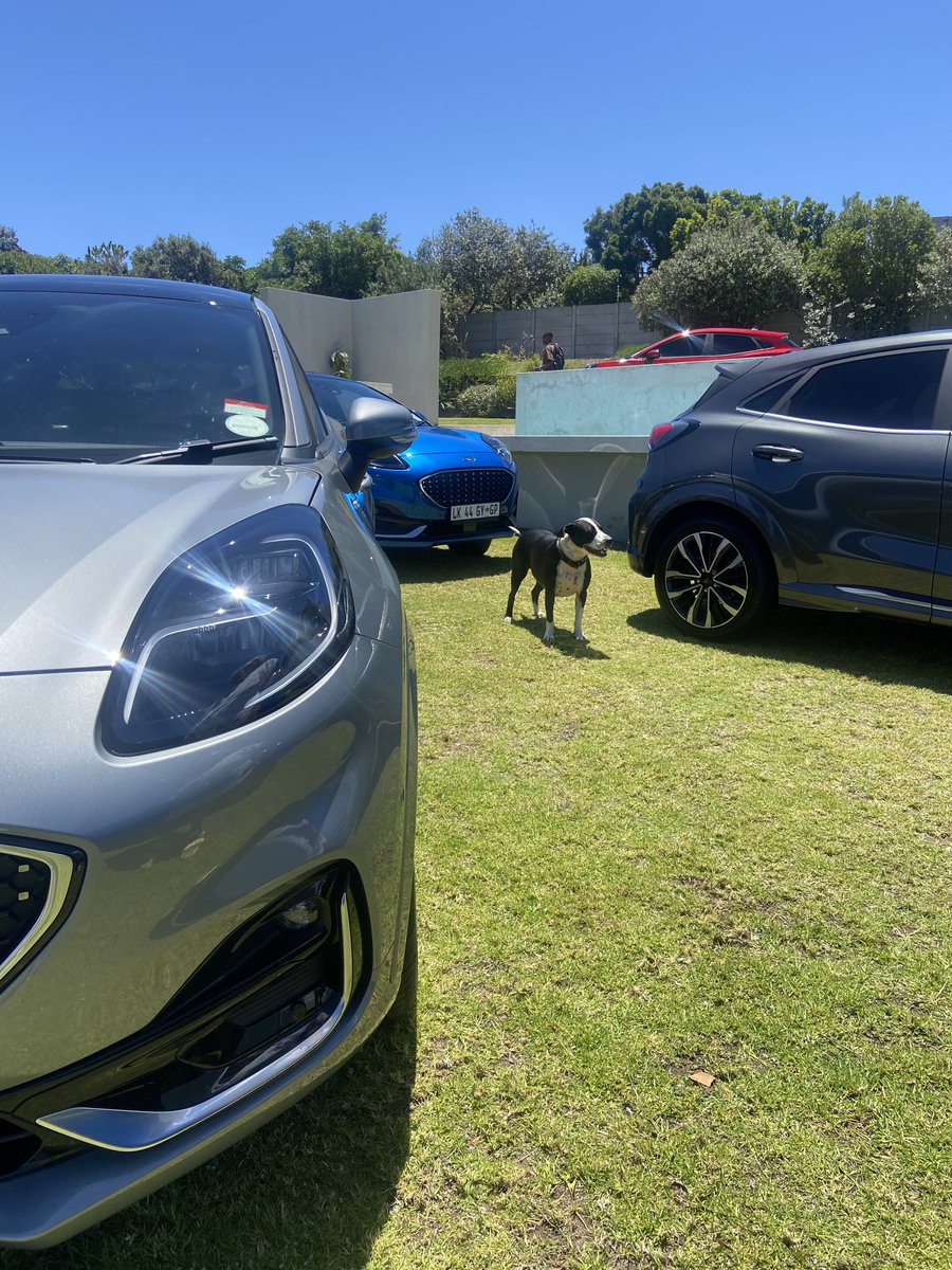 JosiahThobejane's tweet photo. We have stopped at private chefs house to enjoy a specially prepared menu, thanks for the treat @FordSouthAfrica 🥰

Also, can you spot the difference between ST-Line &amp; Titanium on F4?

#GetCurious #PumaTitanium #PumaSTLineVignale https://t.co/t8VRFG6rwZ