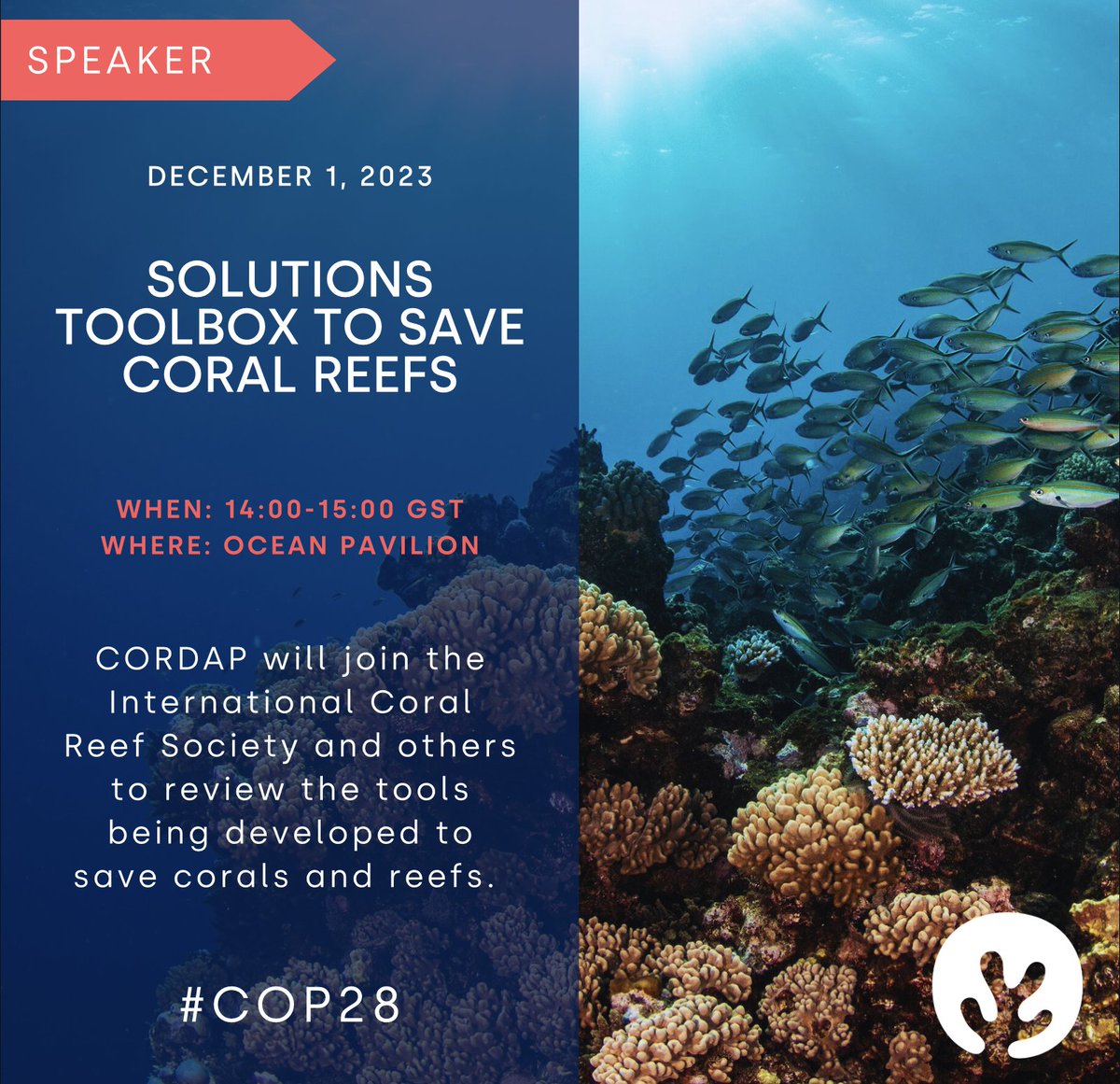 CORDAP_'s tweet photo. We're speaking at @ICRSCoralReefs #COP28 event Solutions Toolbox to Save Coral Reefs 
📣Join us as we present and discuss the array of science, financial, political, and community-based tools being developed and implemented to save coral reefs.

🗓️ 14:00 – 15:00 GST, December 1, 2023
📽️ Live stream link: https://t.co/nLPas0gRjU
🌏Blue Zone, Ocean Pavilion, Zone 4

More info on our events here: https://t.co/D9VTIXjhP6