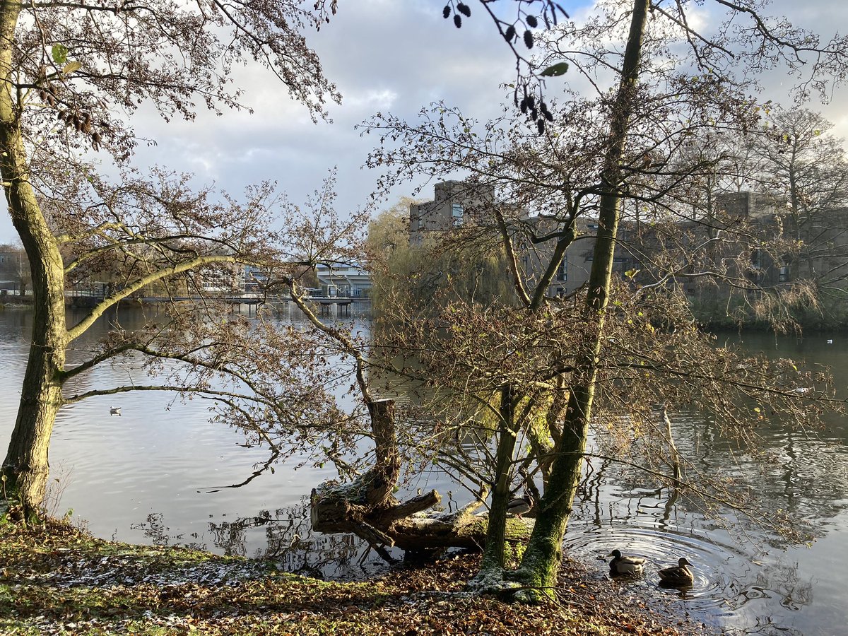 The campus is looking lovely this wintery morning. 🥶 ❄️