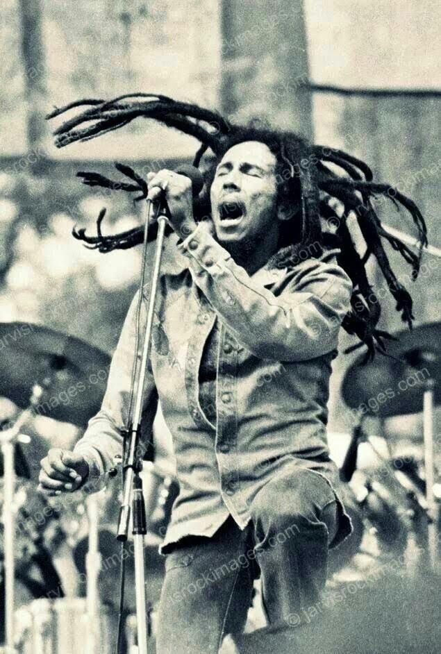 axpap69's tweet image. THE BEST OF REGGAE MUSIC 🎶  ONE LOVE  RASTAFARI  H.I.M    PEACE AND LOVE  ❤️💛💚