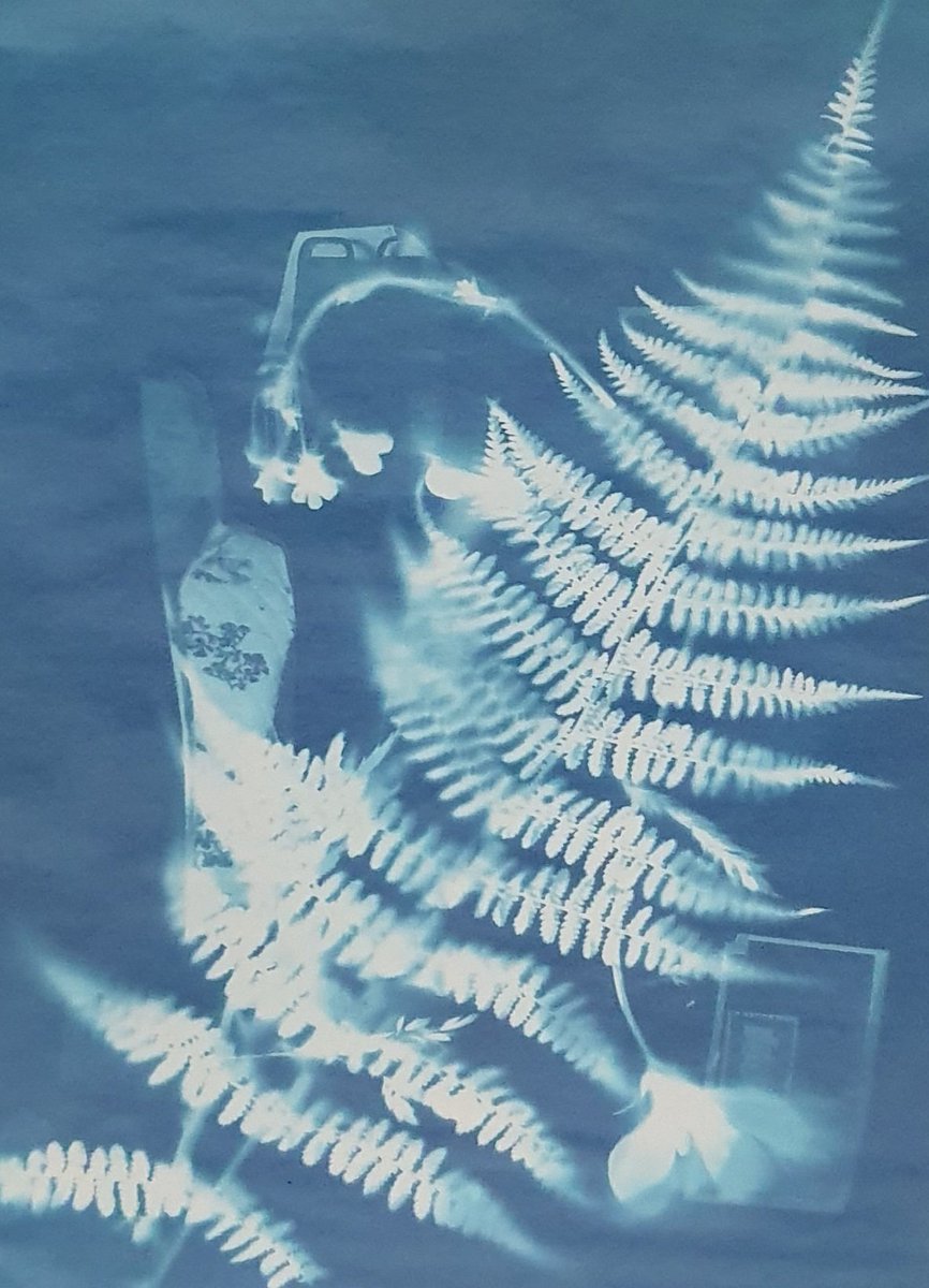 Developing Age-Friendly Communities Salford tweet media