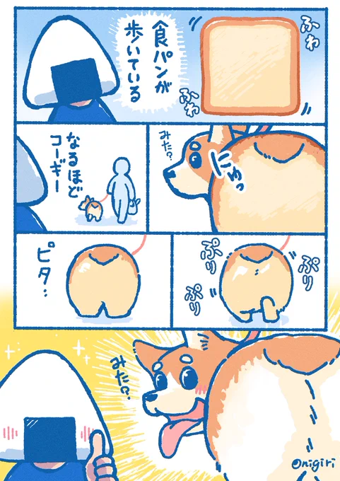 信号で立ち止まるたびに良い顔で
振り向いてくれる食パンの妖精🍞
#いいおしりの日 #コーギー 