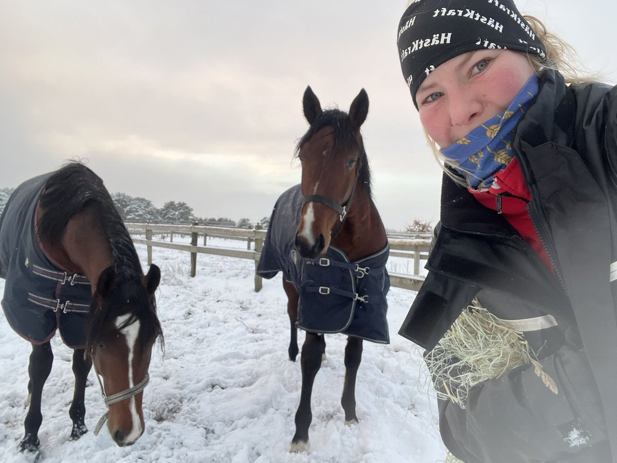 Snöigt Skåne idag ❄️
Einstein Face och Ejnar Face hade en rolig stund innan dom ställde upp på en selfie 🥰