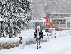 I am not convinced that we all need to 'eat less meat' because the planet is too hot. I think we all need to support British Farmers and their animals, which turn inedible grass into the most nutrient dense food we can eat. #COP28 = #ClimateScam They need to #StopFeedingUsLies